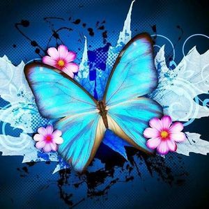 Meet your Posher, Lyn